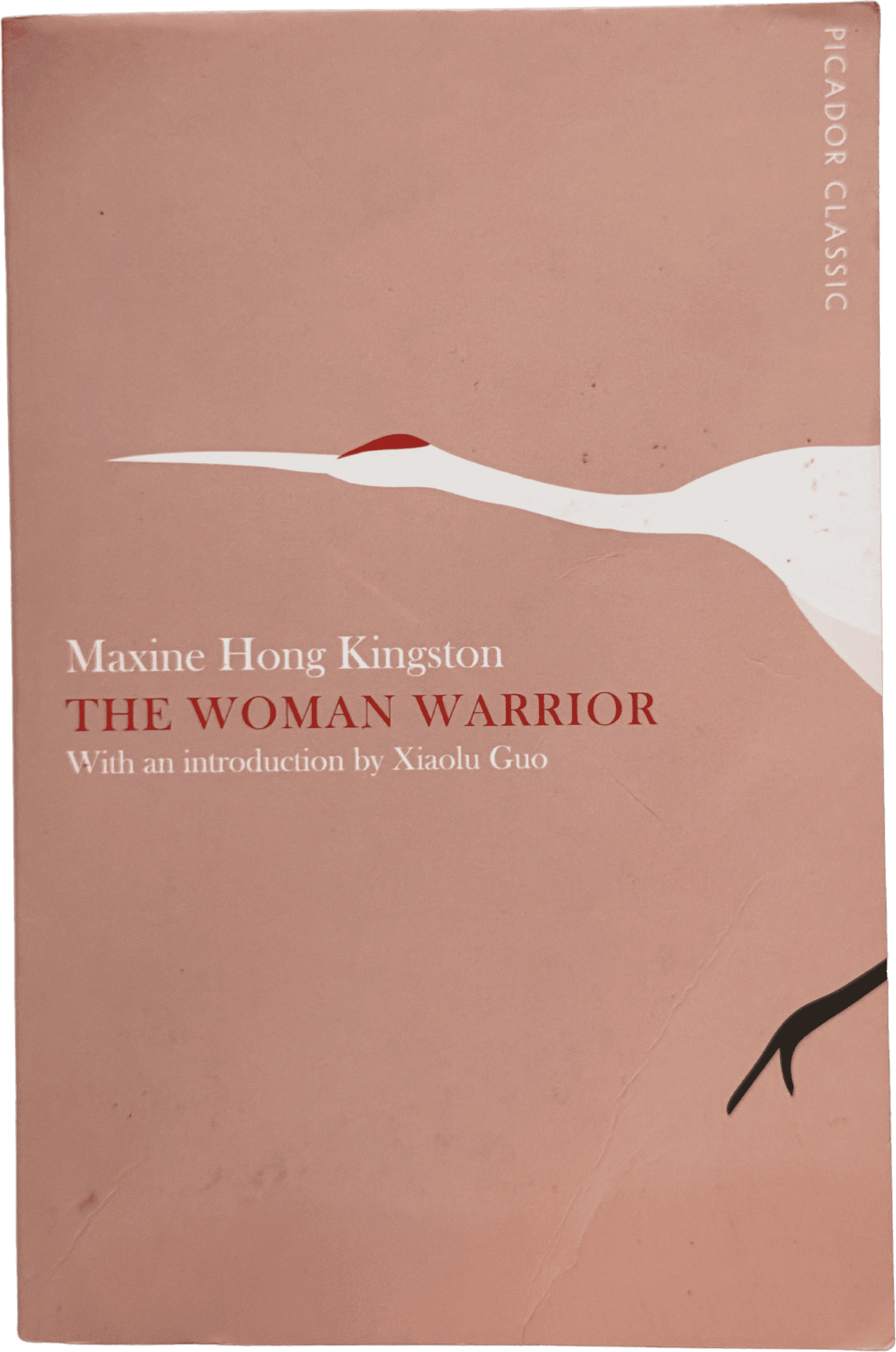 The Woman Warrior